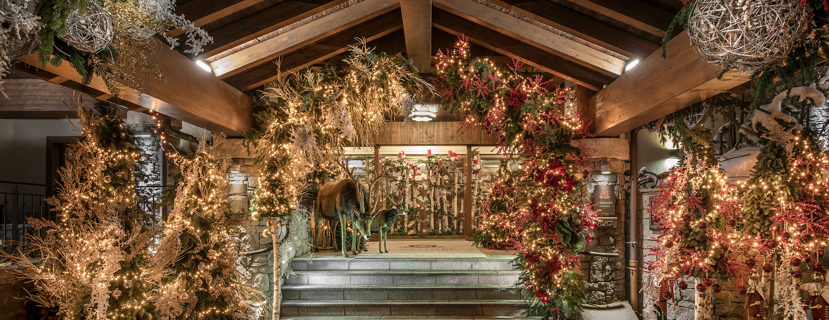 APG - Christmas decorations