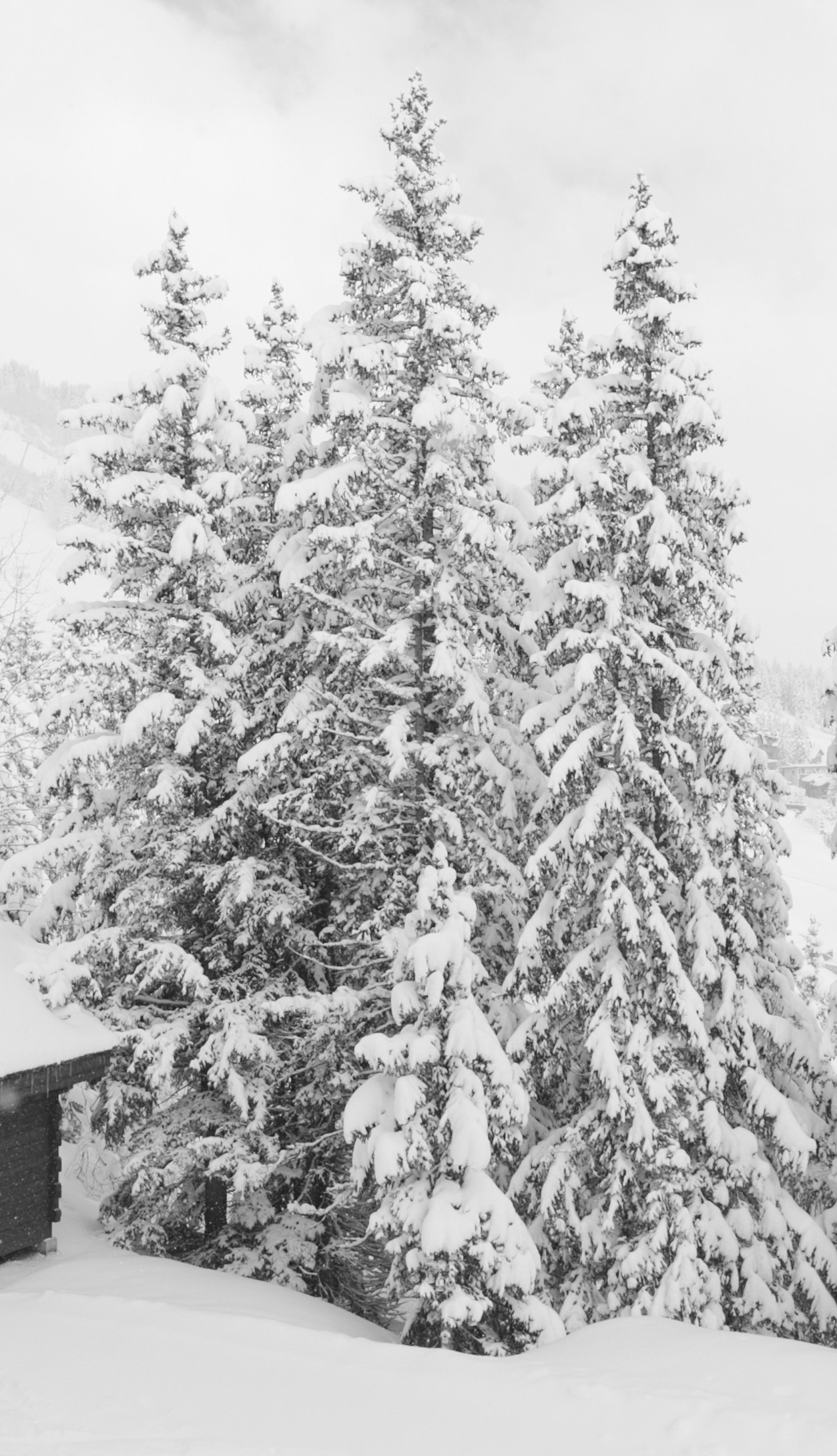 APG - Ski in Ski out black & white