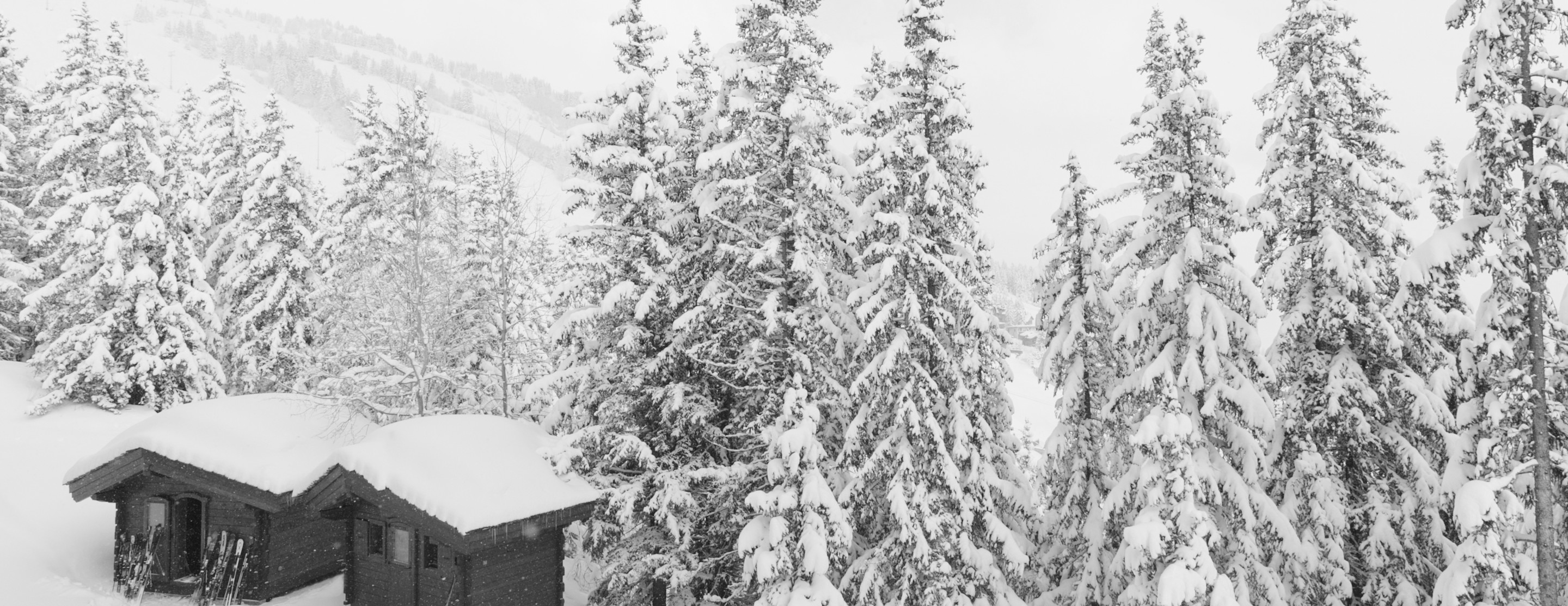 APG - Ski in Ski out black & white