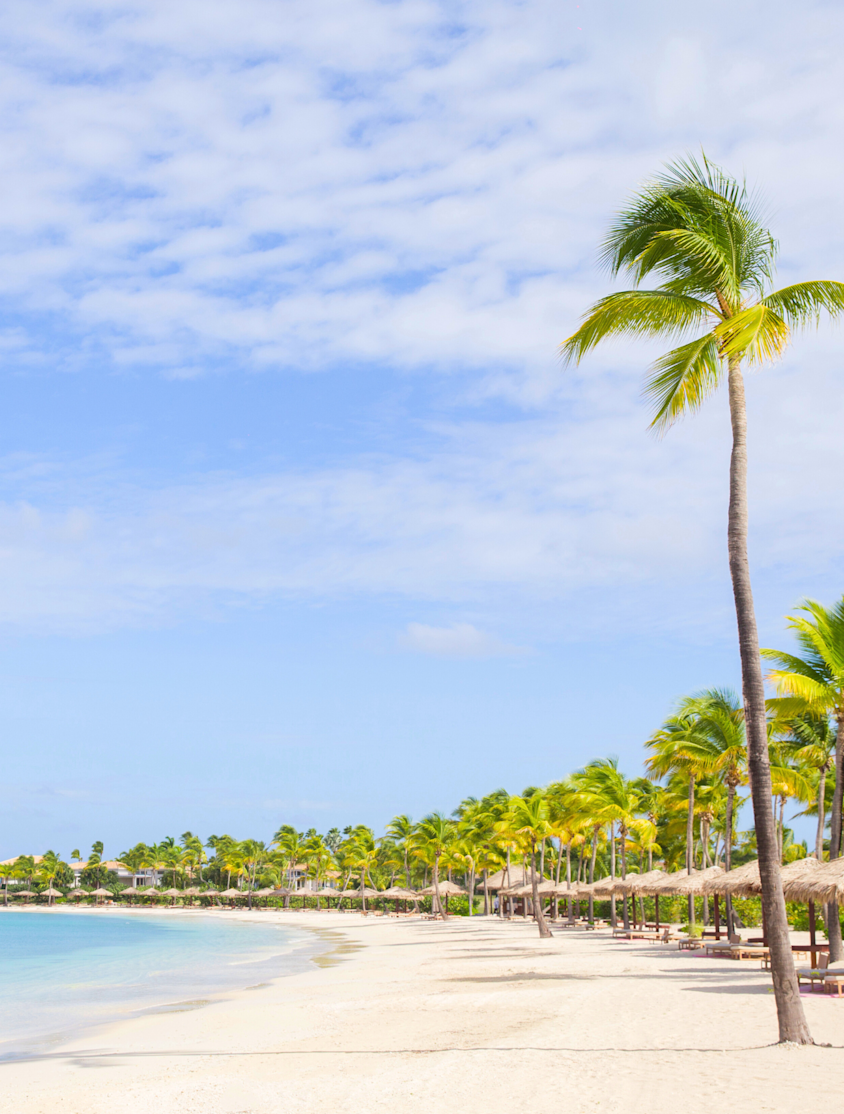 JBI - JUMBY BAY ISLAND 1290x1710